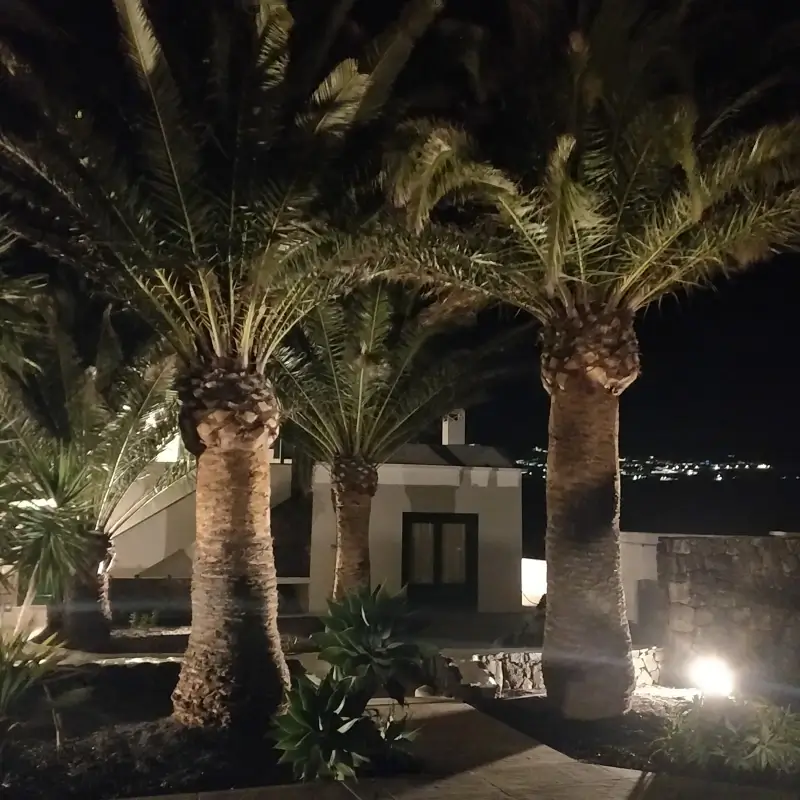 Casa del Erizo - Garden by night